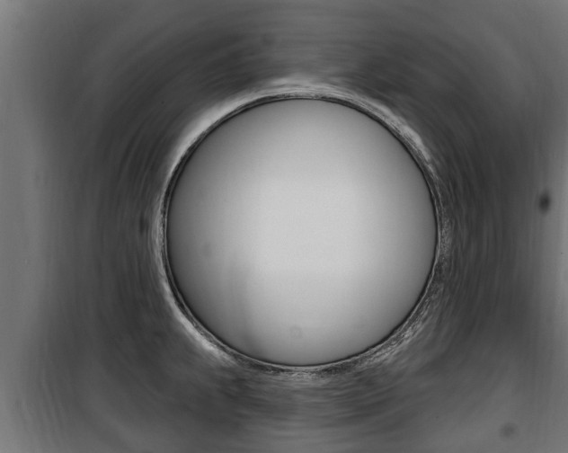 X0000100781239200806191009