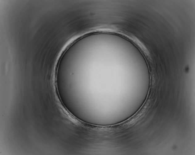 X0000100781240200806191009