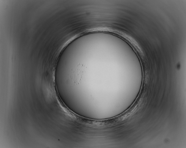 X0000100781241200806191009
