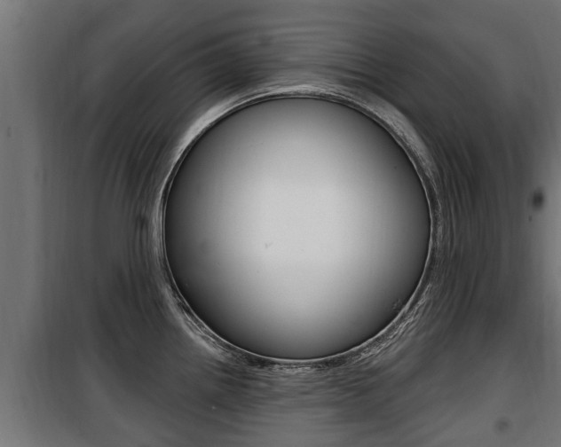 X0000100781242200806191009