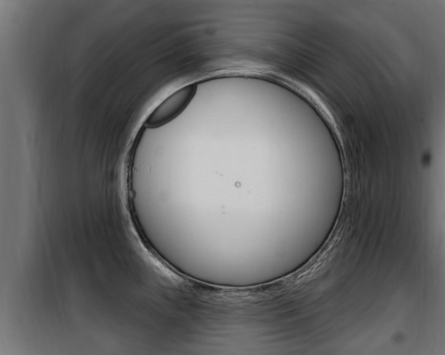 X0000100781243200806191009