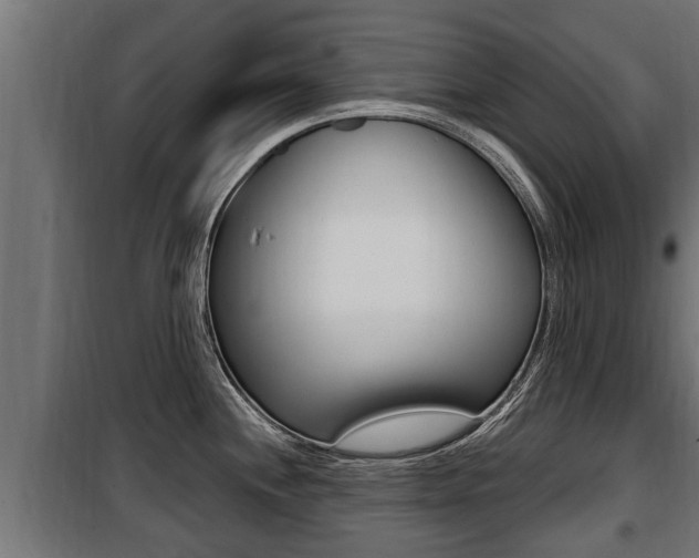 X0000100781244200806191009
