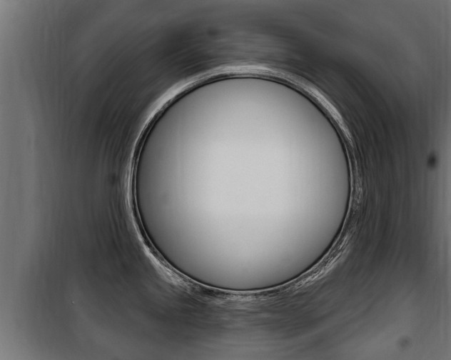 X0000100781245200806191009