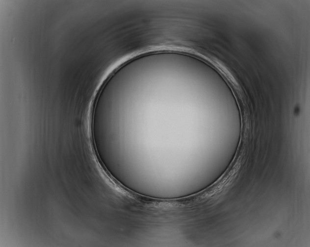 X0000100781246200806191009
