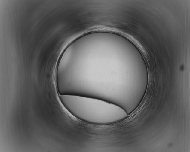 X0000100781247200806191009