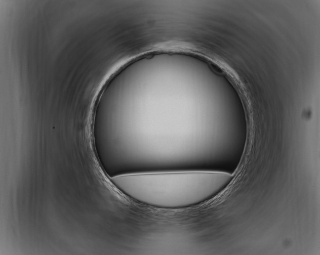 X0000100781248200806191009