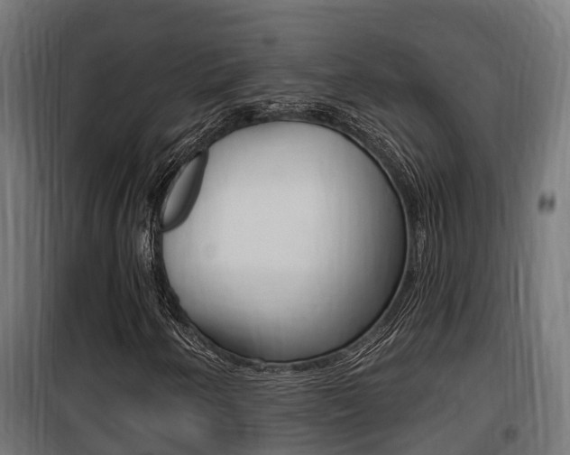 X0000100781250200806191008