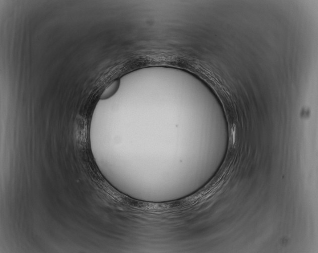 X0000100781251200806191008