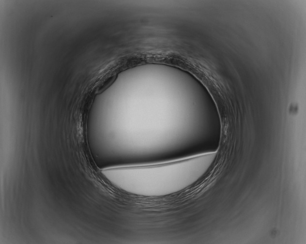 X0000100781252200806191008