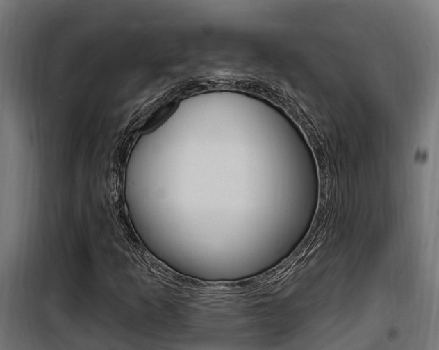 X0000100781253200806191008