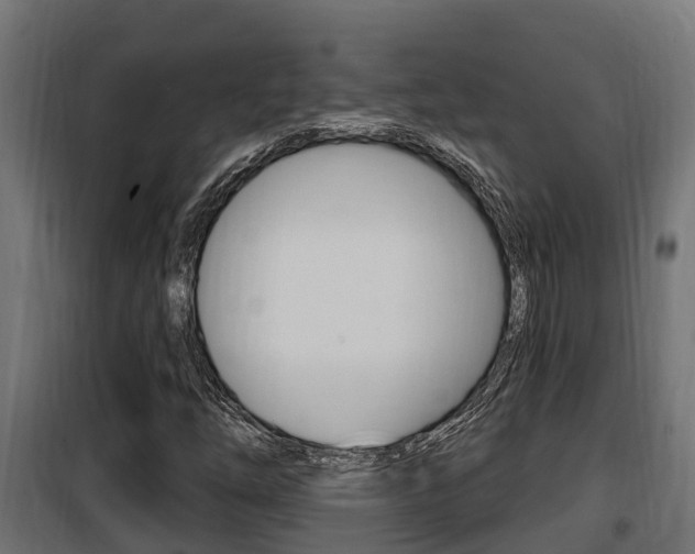 X0000100781254200806191008