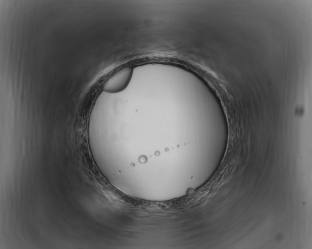 X0000100781255200806191008