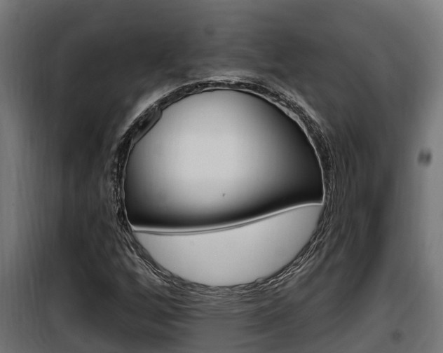 X0000100781256200806191008