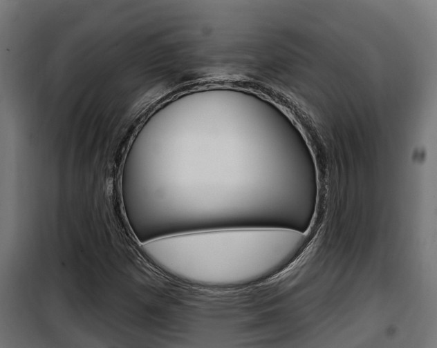 X0000100781257200806191008
