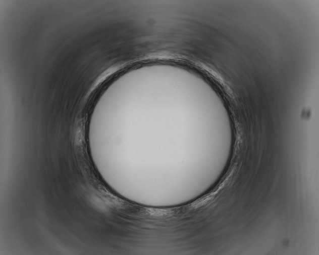 X0000100781258200806191008