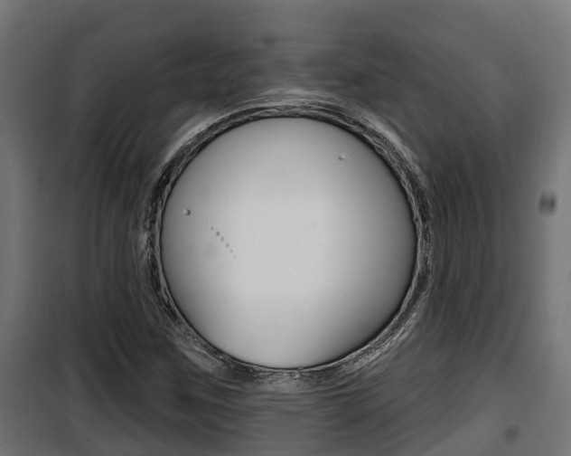 X0000100781259200806191008