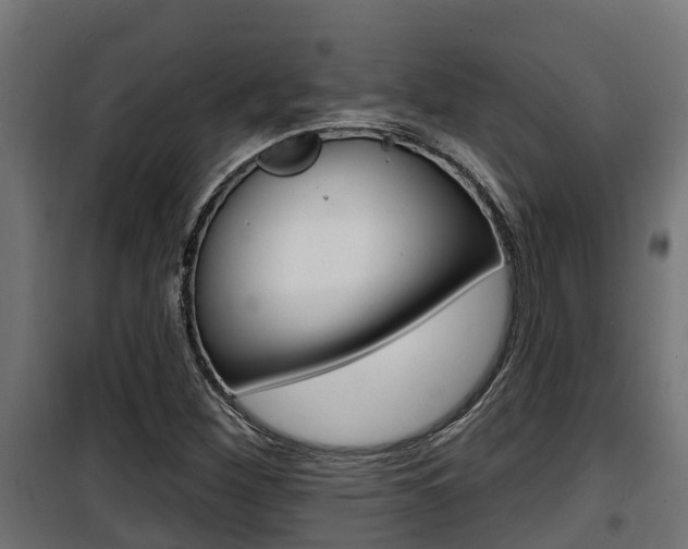 X0000100781260200806191008