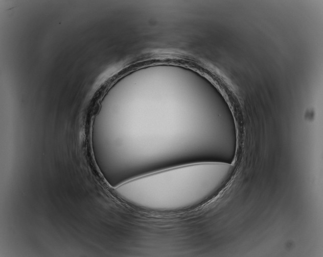 X0000100781261200806191008