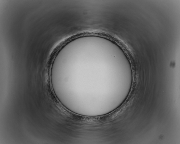 X0000100781262200806191008