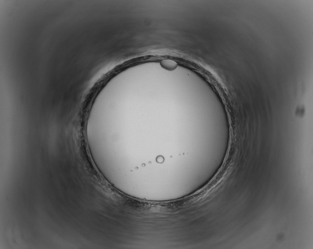 X0000100781263200806191008