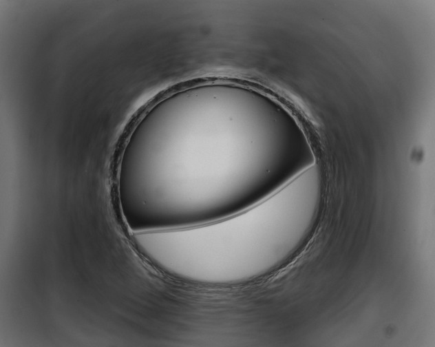 X0000100781264200806191008