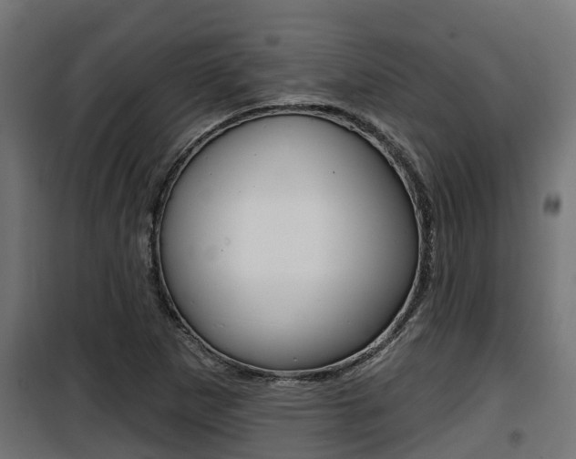 X0000100781265200806191008