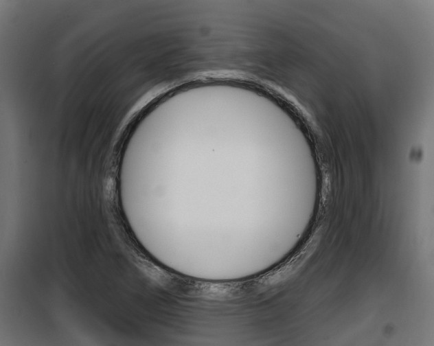 X0000100781266200806191008