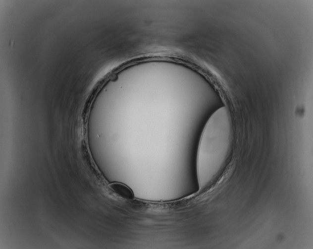 X0000100781267200806191008