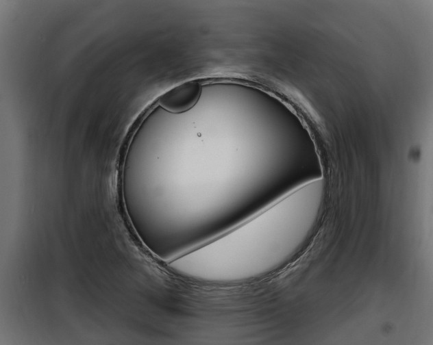 X0000100781268200806191008