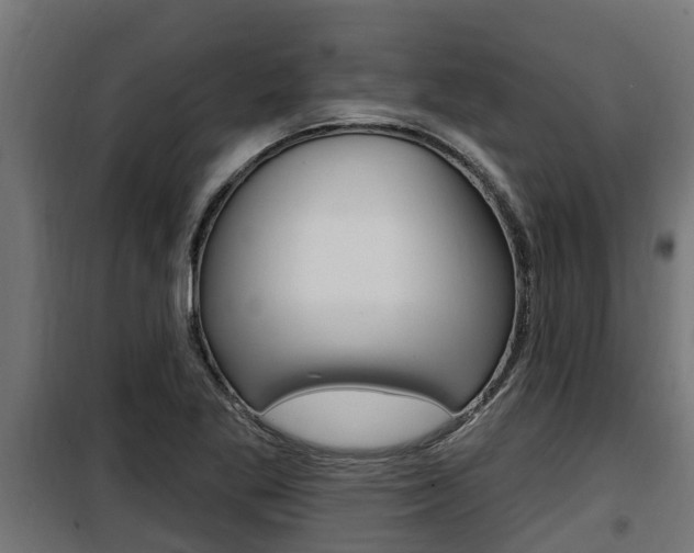 X0000100781269200806191008
