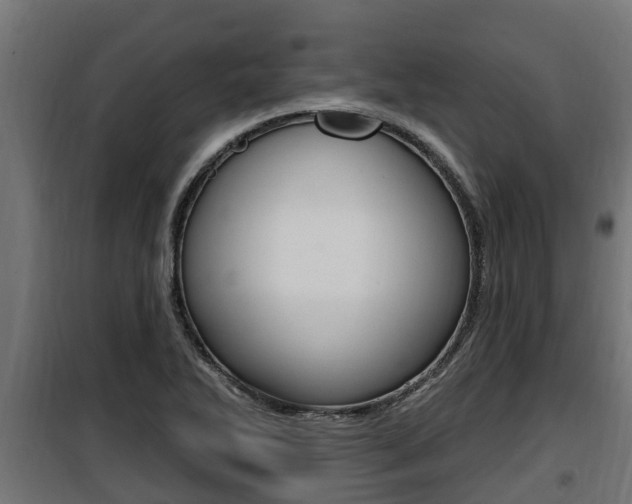 X0000100781270200806191008