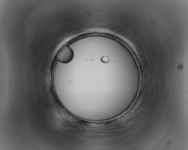 X0000100781271200806191008