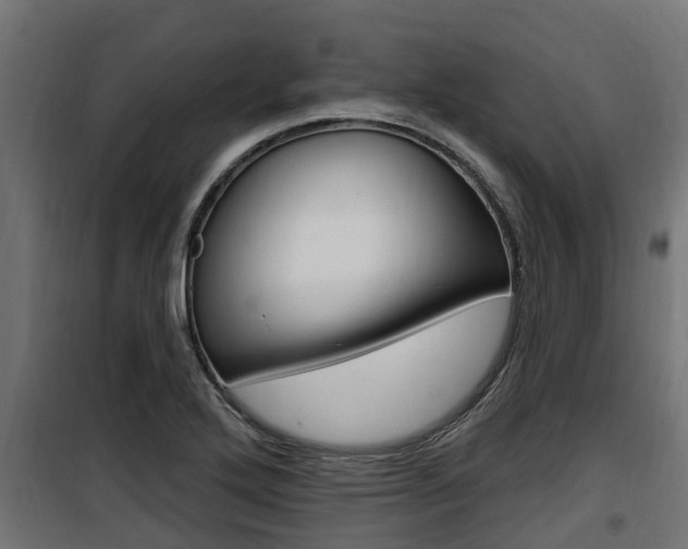 X0000100781272200806191008