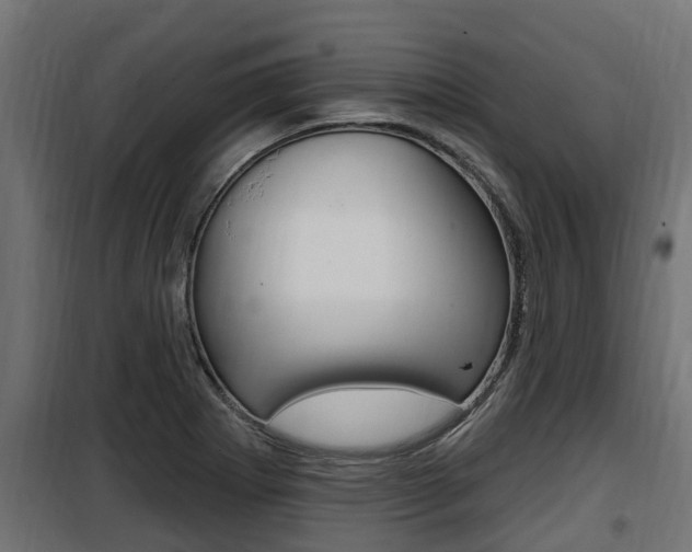 X0000100781273200806191008