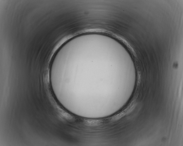 X0000100781274200806191008