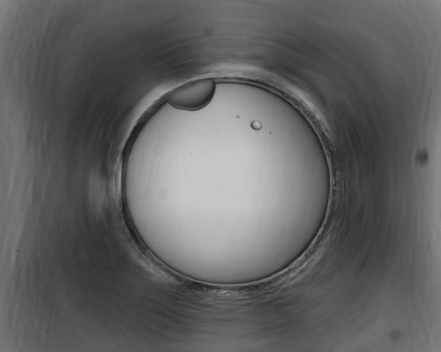 X0000100781275200806191008