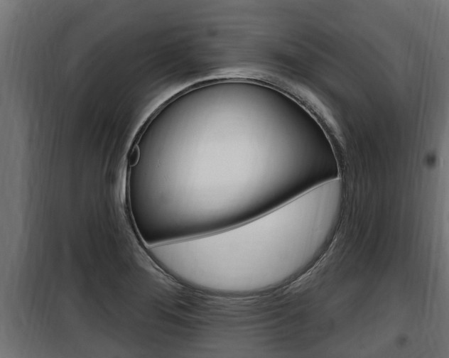 X0000100781276200806191008
