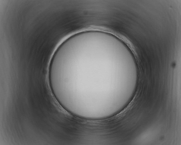 X0000100781280200806191008