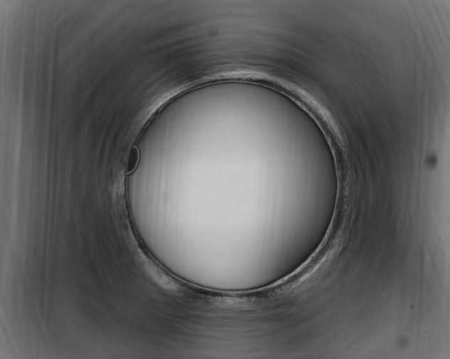X0000100781281200806191008