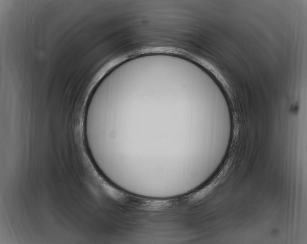 X0000100781282200806191008