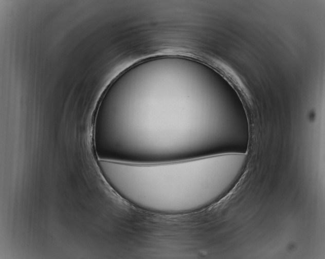 X0000100781284200806191008