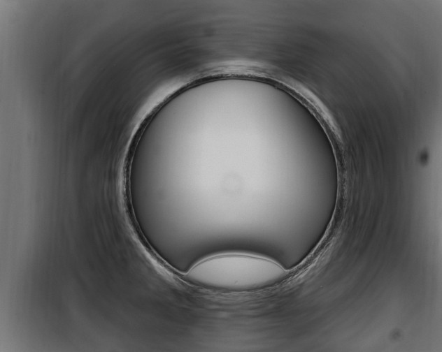 X0000100781285200806191008