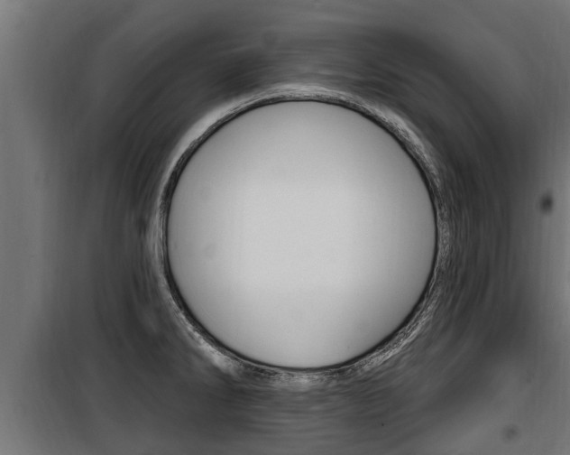 X0000100781286200806191008