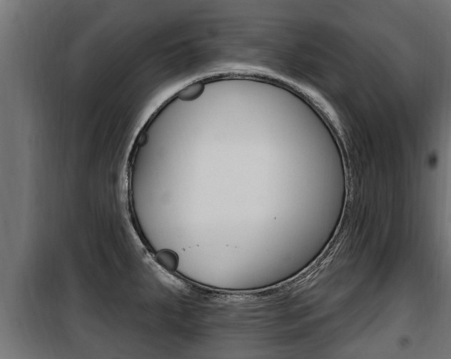 X0000100781287200806191008