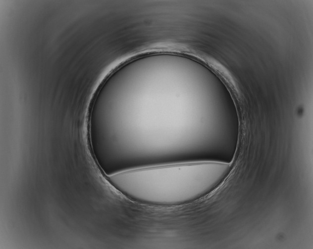 X0000100781288200806191008