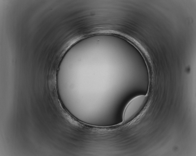 X0000100781289200806191008