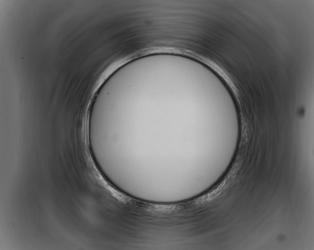 X0000100781290200806191008