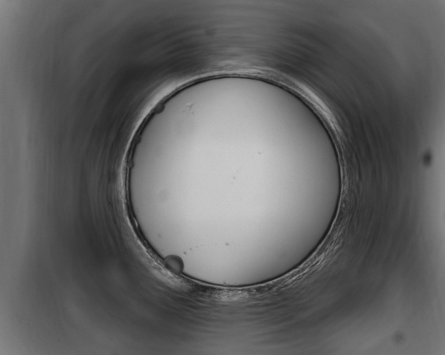 X0000100781291200806191008