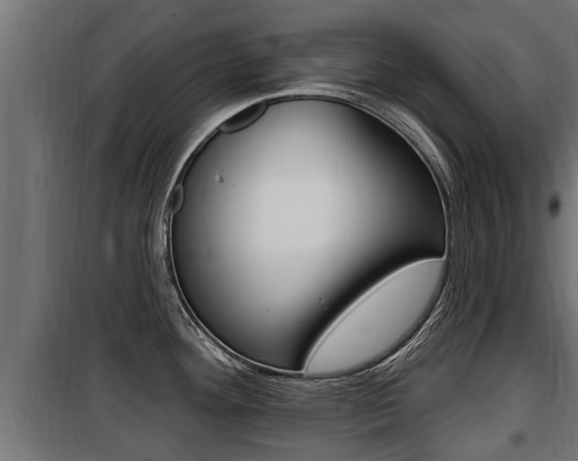 X0000100781292200806191008