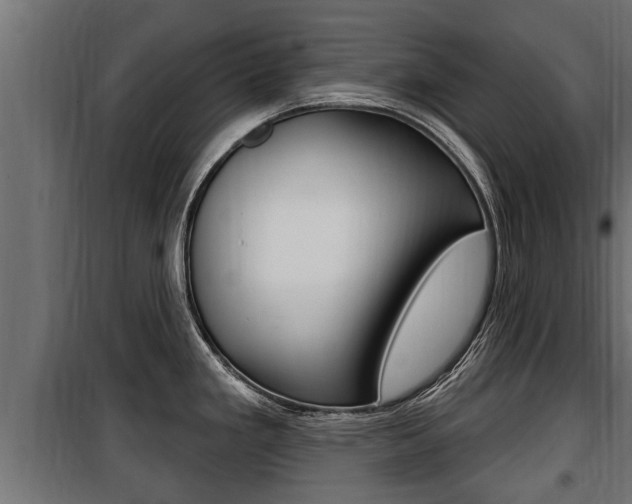 X0000100781293200806191008